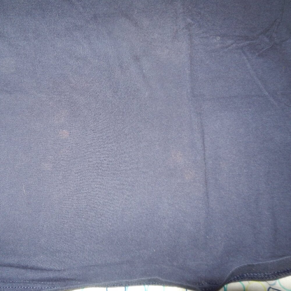 2 Vintage Fruit of the Loom tee shirts. Sz L - Picture 8 of 10